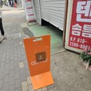 치코린도