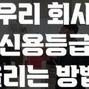 엘비즈파트너스