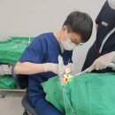 가능치과기공소 | 의정부치과후기 보기 전, 먼저 확인해야 할 것이 있습니다