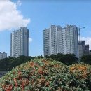 뜨란채공인중개사사무소 이미지