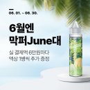 디케이샤인 이미지