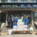 삼애 이미지