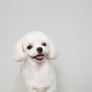 파리바게뜨수원탑동 이미지