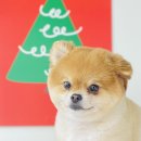 산호동457 이미지