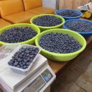 명우농장 이미지