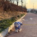 27200-나-22 | 새해 일출 보러가는 일상