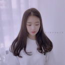 지노헤어효성점