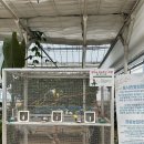 원포농장 | 아기랑가기좋은 수원포시즌힐링팜 방문후기