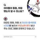 솔로몬 태권도장 이미지