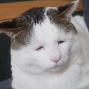 한성당건재한약품 | <401일차 블로그🕷>+초상화 "레 포르트레" 인생테마 후기&amp;초상화 졸업🎓-2.12