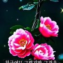 생초초등학교 이미지