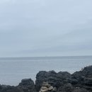개인화물1168 | [제주한달살이] 2022.05.12 제주 열한 번째 날 (feat. 빛의 벙커, 가시아방 국수, 어니스트 밀크)