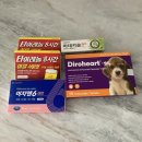 광주제일큰약국 이미지