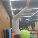 소마피트-인