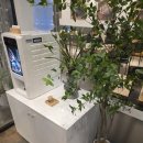 터미널식당(언양) | 포항 터미널 닭칼국수 맛집, 언양닭칼국수