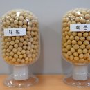 순창군농업기술센터 이미지