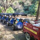 깡통 기차도 타보고 소 구경해요~ 이미지