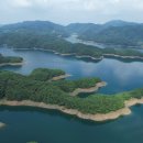 게으른 악어 이미지