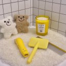 퍼피퍼피 이미지