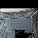 중국중화한의원 이미지