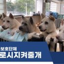 지켜줄개 이미지