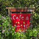 대촌길 | 경남 하동 평사리의 아침 목향장미 명소 하동정원카페 화덕피자 브런치 맛집 4월 5월 추천