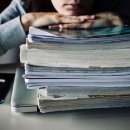 버드내초교 이미지