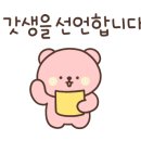 코디스 이미지