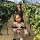 도희농장 이미지