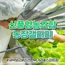 우리영농조합법인 농장 이미지