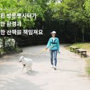 커넥팅닷츠 이미지