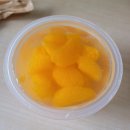 이수진 일본 선거투표