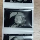 미즈맘산부인과의원 이미지