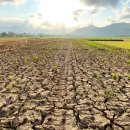 CW-1921-01 이미지