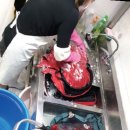 비젼세탁소 이미지