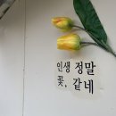 인생;꽃같네 이미지