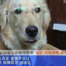 행복수산 이미지