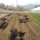 내린천 주말농장 이미지