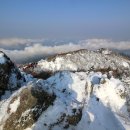 롯데백화점 남문 앞 이미지