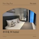 엠(M) 메이저 이미지