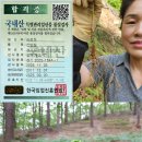 (조기품절 판매완료) 산양삼 할인행사 합니다~~ 이미지