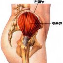 카이로프락틱 이미지