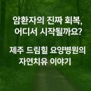 드림힐 | [공지] 암수술후 환자 NK세포 높이는 제주 드림힐의 숲테라피 이야기
