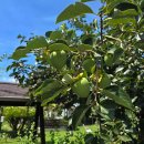 현대식육센타 이미지