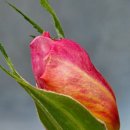 (주)위메진 이미지