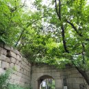 영축산효소 이미지