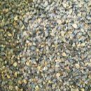 메밀의 효능 및 부작용 이미지