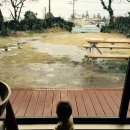 제주 이리스 이미지