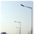 대성전업사 이미지