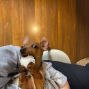 굿즈투어 이미지